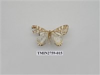 藏品(尺蛾328)的圖片